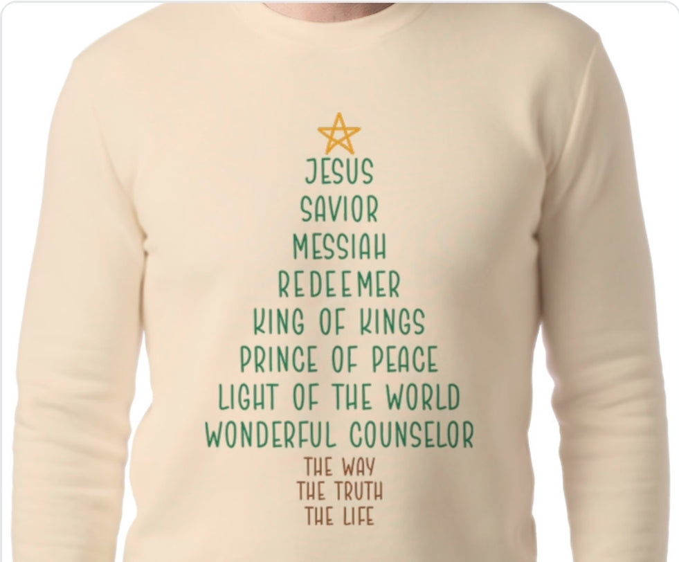 Adult Jesus T-shirt or Sweatshirt