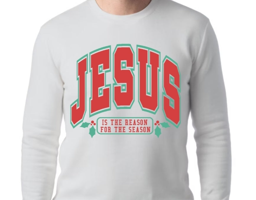 Adult Jesus is the Reason T-shirt or Sweatshirt