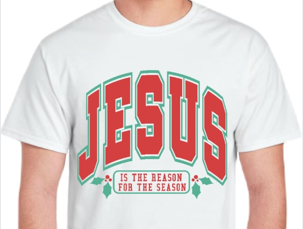 Adult Jesus is the Reason T-shirt or Sweatshirt