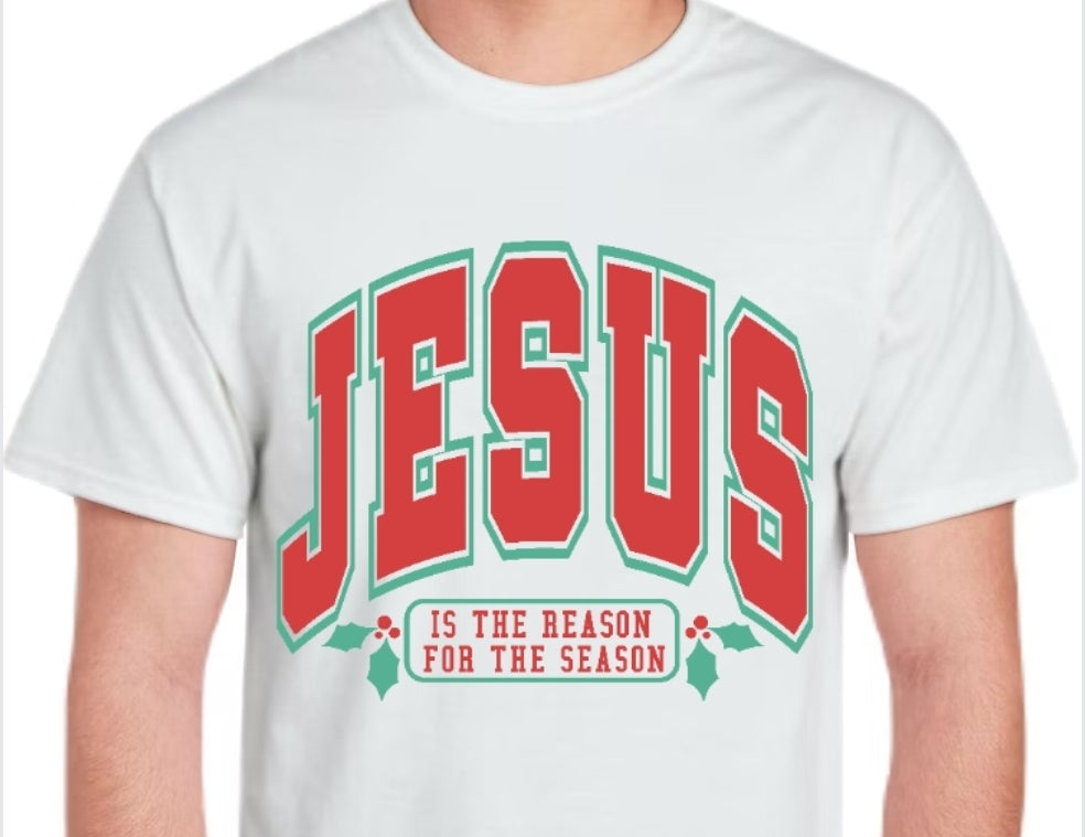Adult Jesus is the Reason T-shirt or Sweatshirt