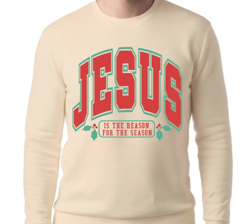 Adult Jesus is the Reason T-shirt or Sweatshirt