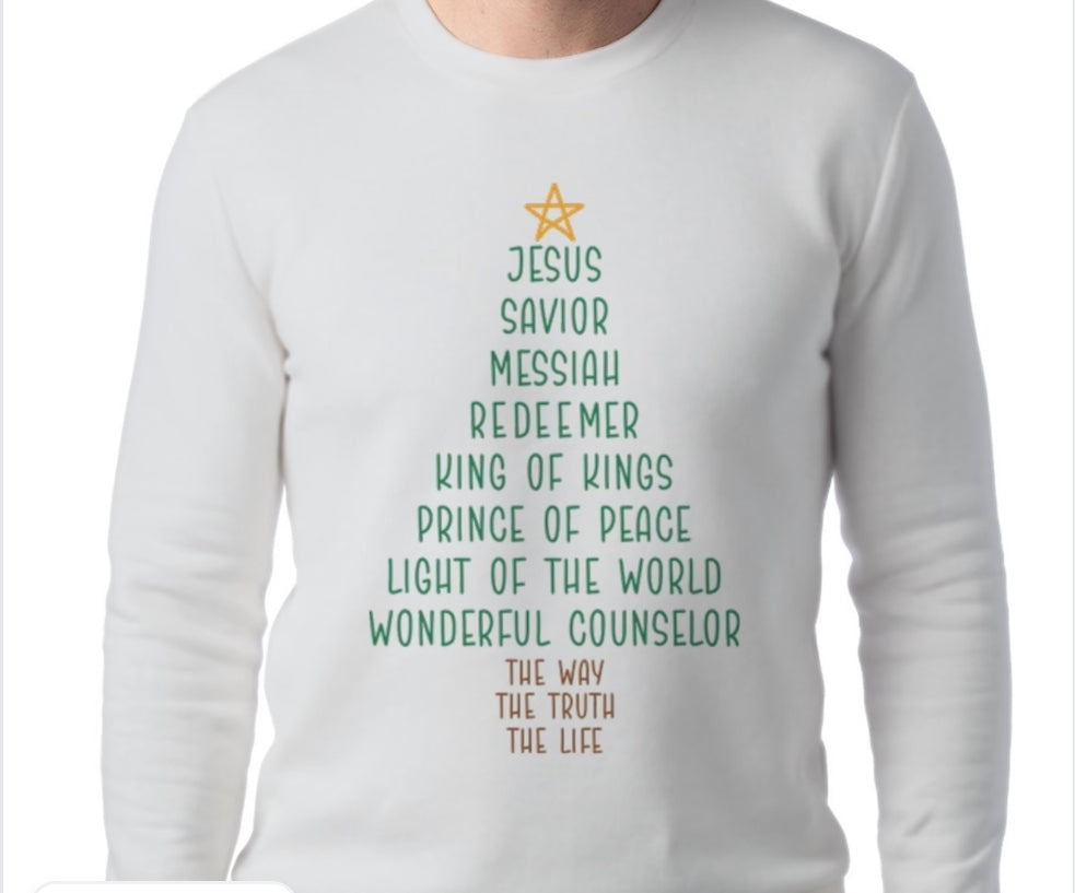 Adult Jesus T-shirt or Sweatshirt