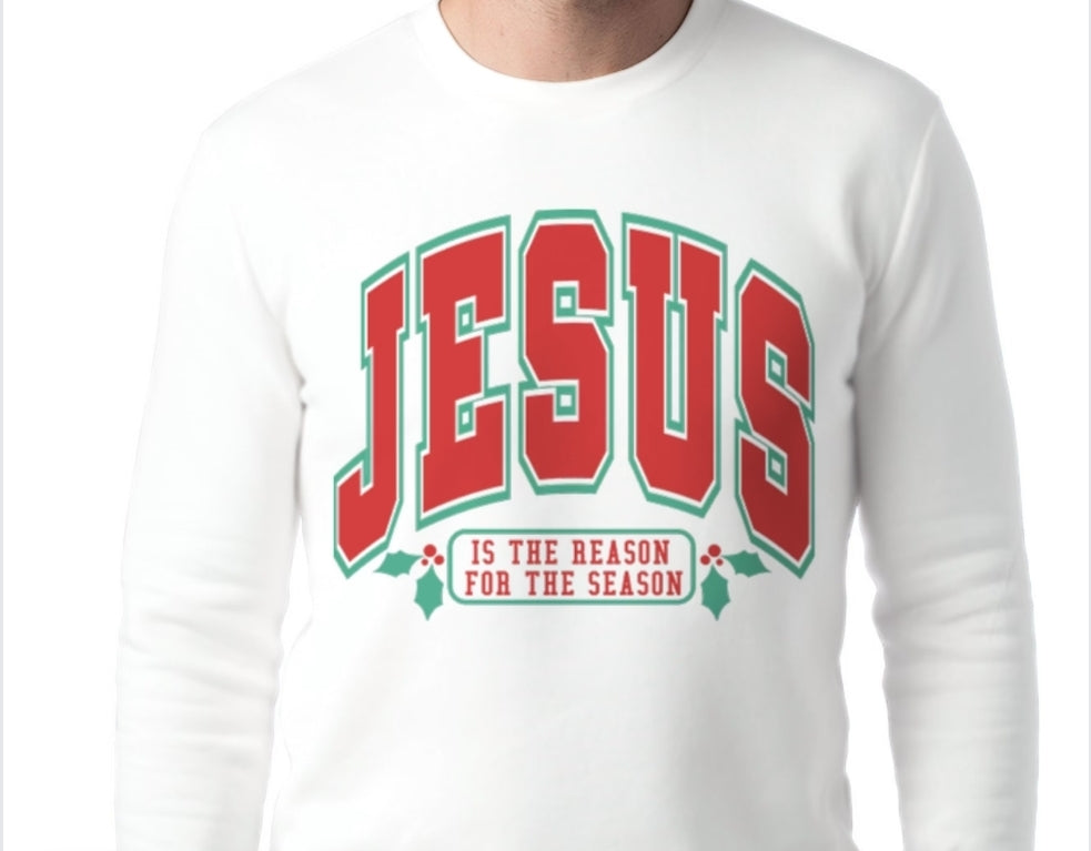 Adult Jesus is the Reason T-shirt or Sweatshirt