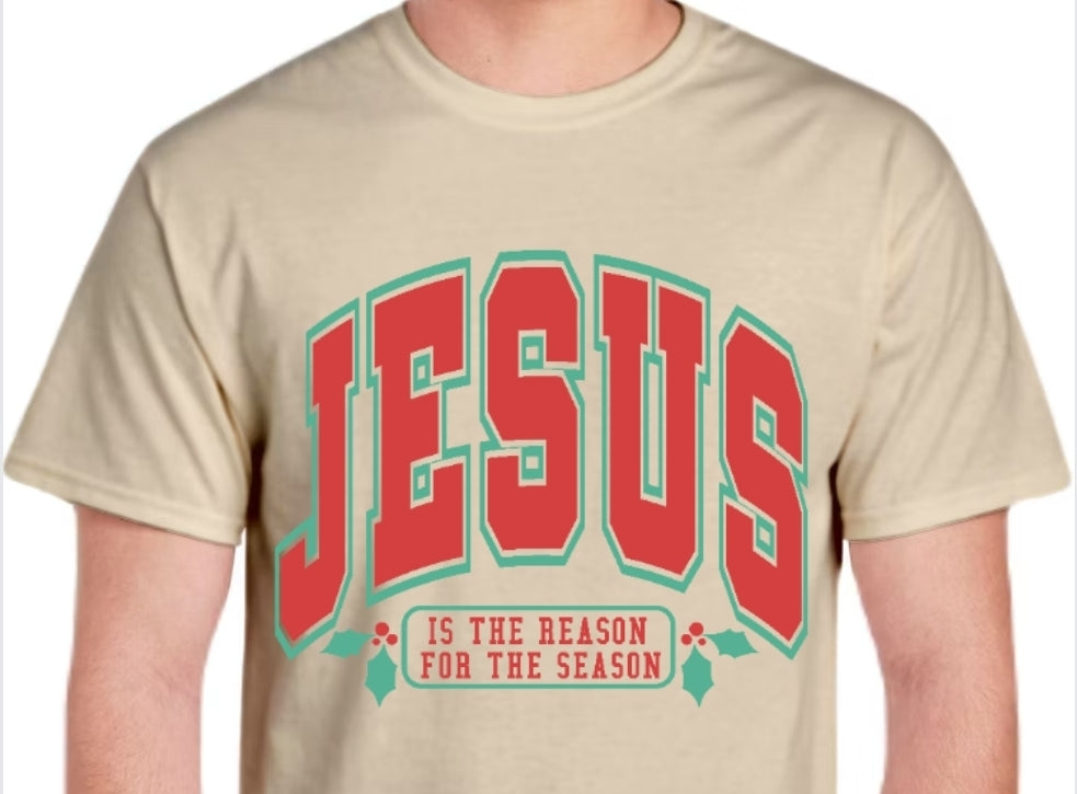 Adult Jesus is the Reason T-shirt or Sweatshirt