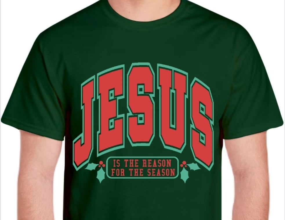 Adult Jesus is the Reason T-shirt or Sweatshirt